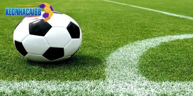 Tỷ lệ kèo chấp nửa trái