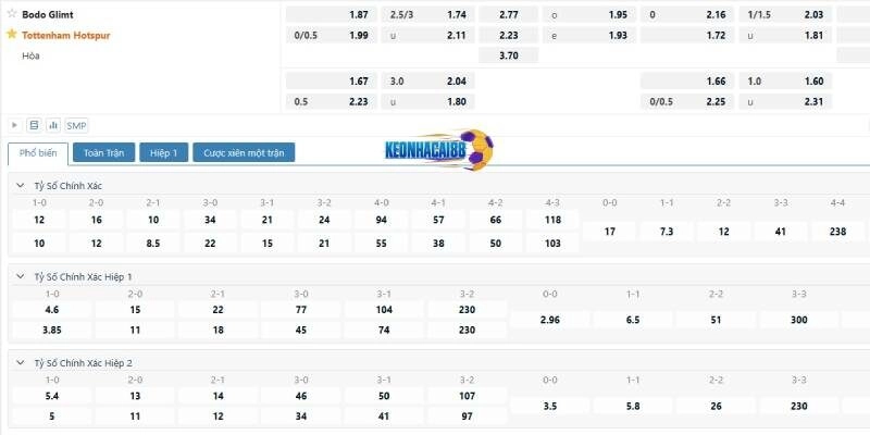 Tỉ lệ kèo trận Bodo Glimt vs Tottenham