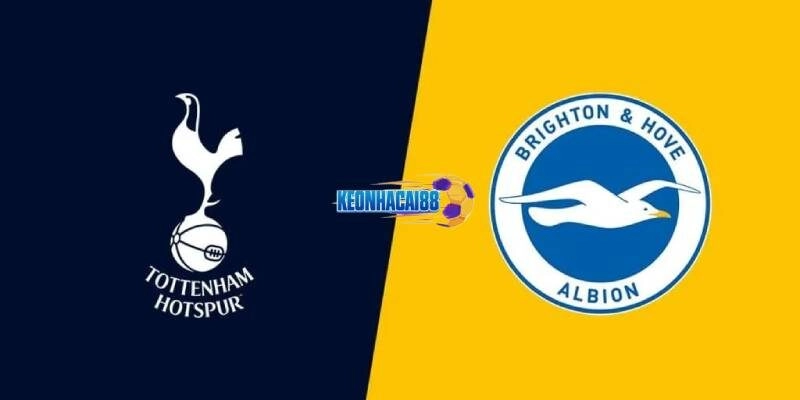 Soi kèo Tottenham vs Brighton, 22h00 ngày 25/5