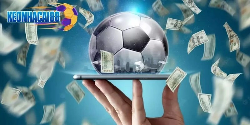 Chuyên mục mang đến những nhà cái uy tín, hợp pháp